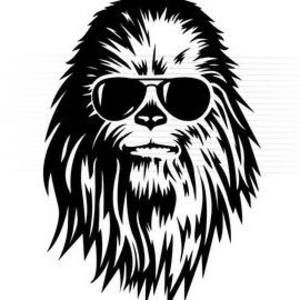 Meet your Posher, Jeff